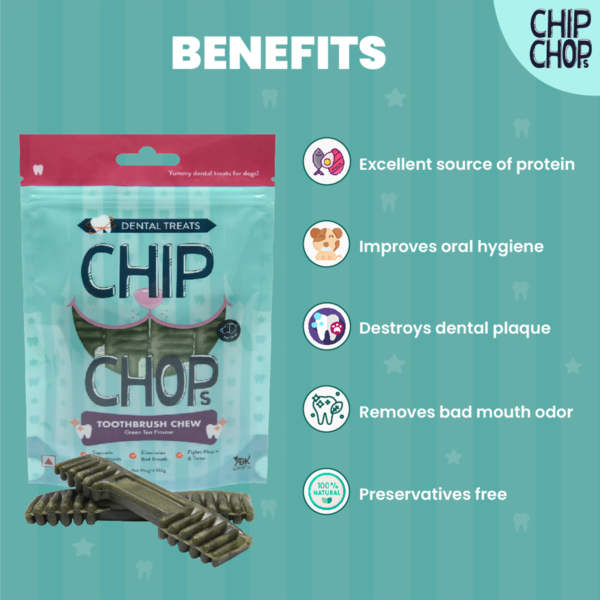 Benefits Chip Chops Toothbrush Chew Green Tea Flavor I1