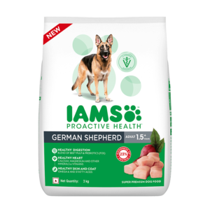 German Shepherd Adult