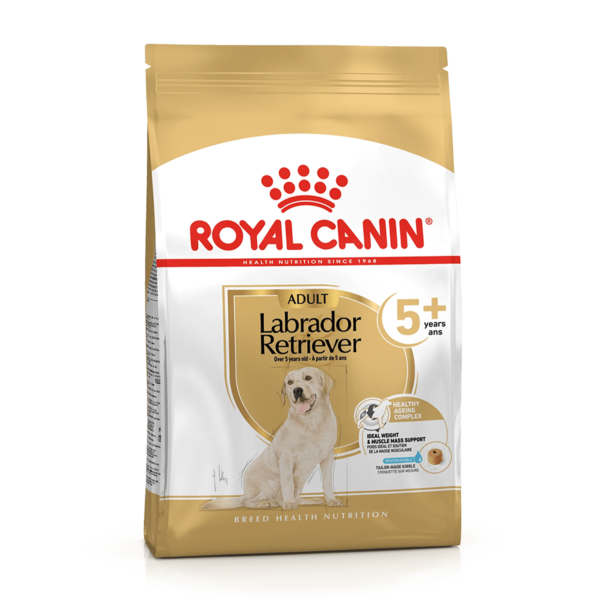 Labrador Adult 5+ | royal canin | dog food | petzsetgo