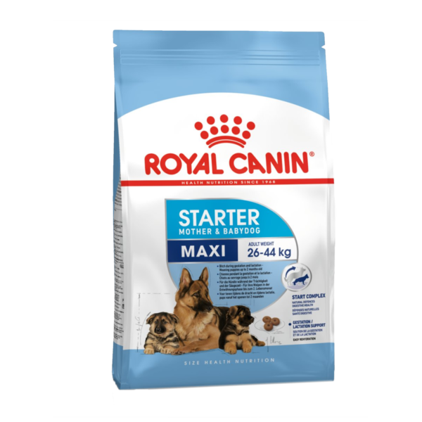 Maxi Starter - 1 kg | royal canin | dog food | petzsetgo
