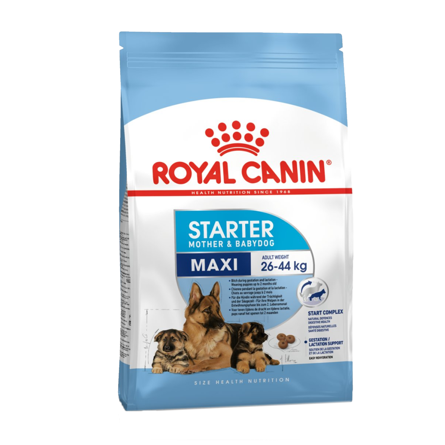 Maxi Starter - 1 kg | royal canin | dog food | petzsetgo