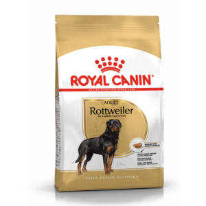 Rottweiler Adult