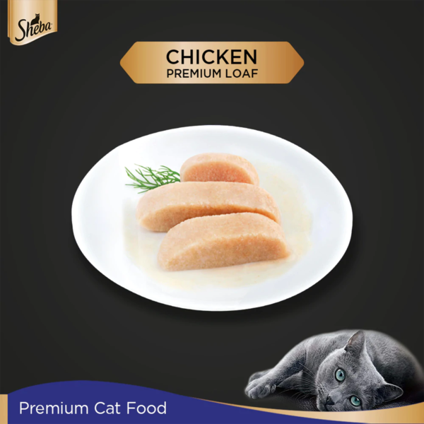 chicken I1 | sheba | cat food | petzsetgo