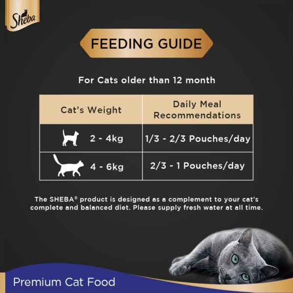 chicken I2 | feeding guide | cat food | petzsetgo