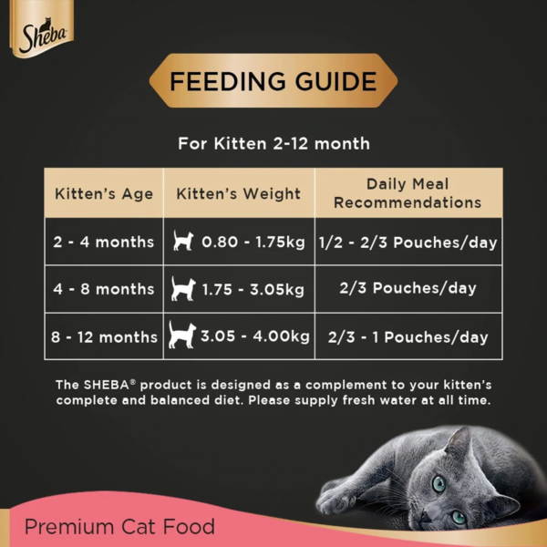 chicken for kitten I2 | feeding guide | cat food | petzsetgo