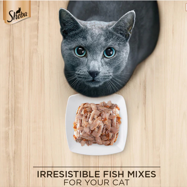 fish with sasami I1 |sheba | cat food | petzsetgo