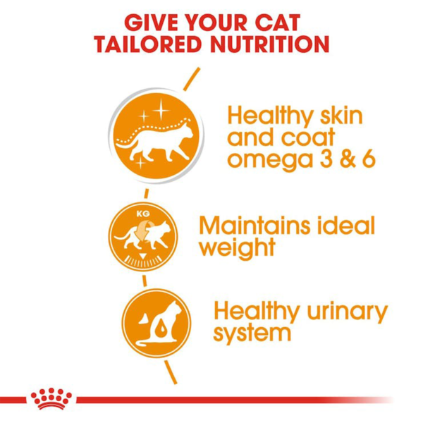 cat tailored nutrition | cat food