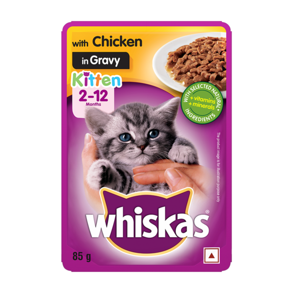 kitten chicken in gravy F | whiskas | cat food | petzsetgo