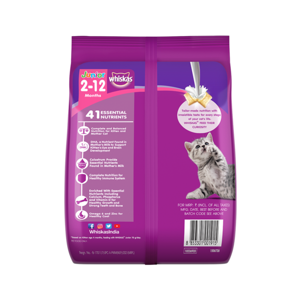 kitten mackerel - 1.1 kg_B | kitten food | petzsetgo