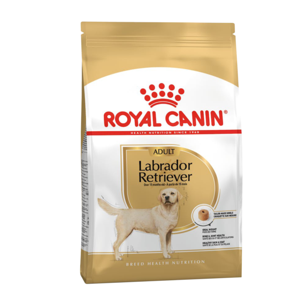 labrador-adult_all_F | royal canin | dog food | petzsetgo