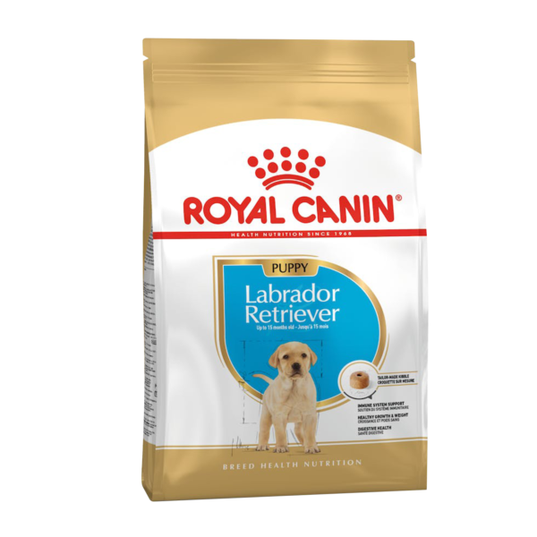 labrador_puppy_All_F | royal canin | dog food | petzsetgo