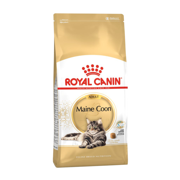 royal canin | maine-coon-adult_F