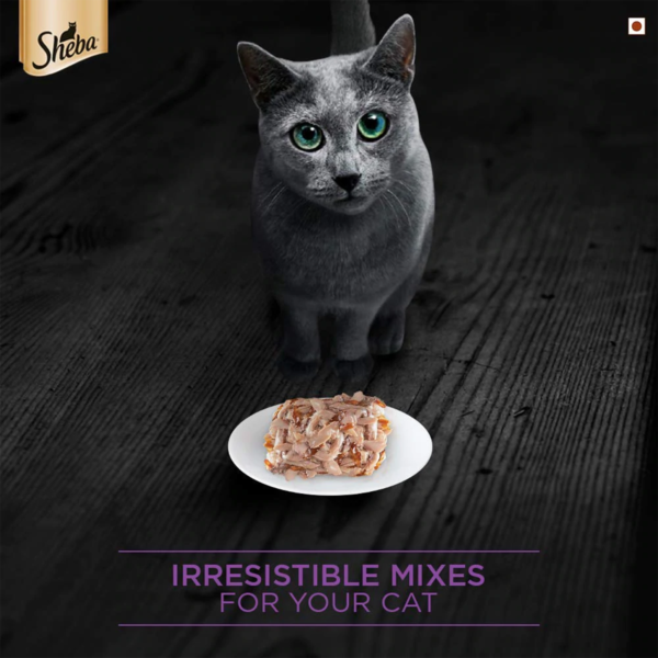tuna filets in jelly I3 | sheba | cat food | petzsetgo