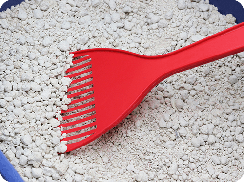 Cat Litter Scooper: Top 3 Ultimate Cleaning Companion!